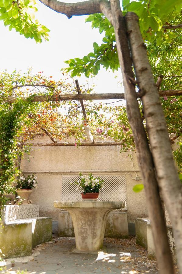 トッレ・アンヌンツィアータCasa Teresinella Gardenアパートメント エクステリア 写真