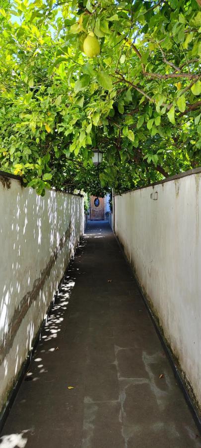 トッレ・アンヌンツィアータCasa Teresinella Gardenアパートメント エクステリア 写真