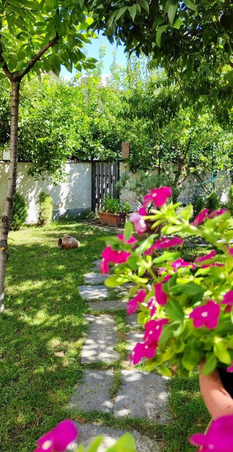 トッレ・アンヌンツィアータCasa Teresinella Gardenアパートメント エクステリア 写真